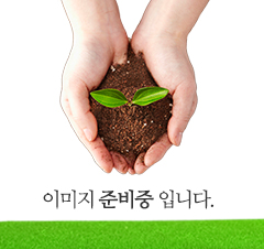 태산목